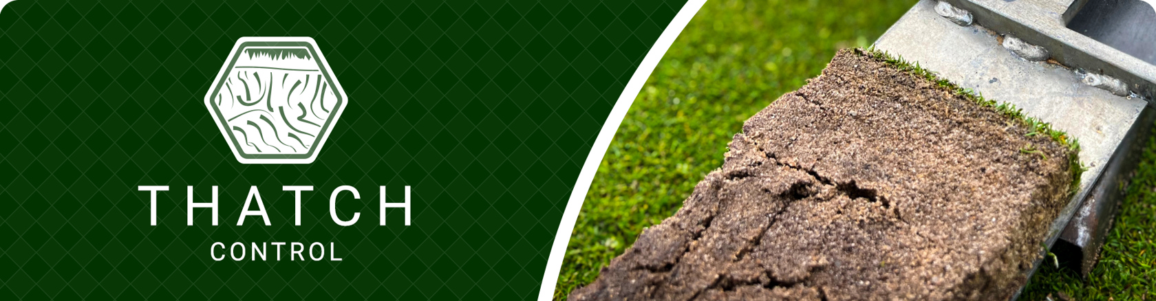 Thatch Control