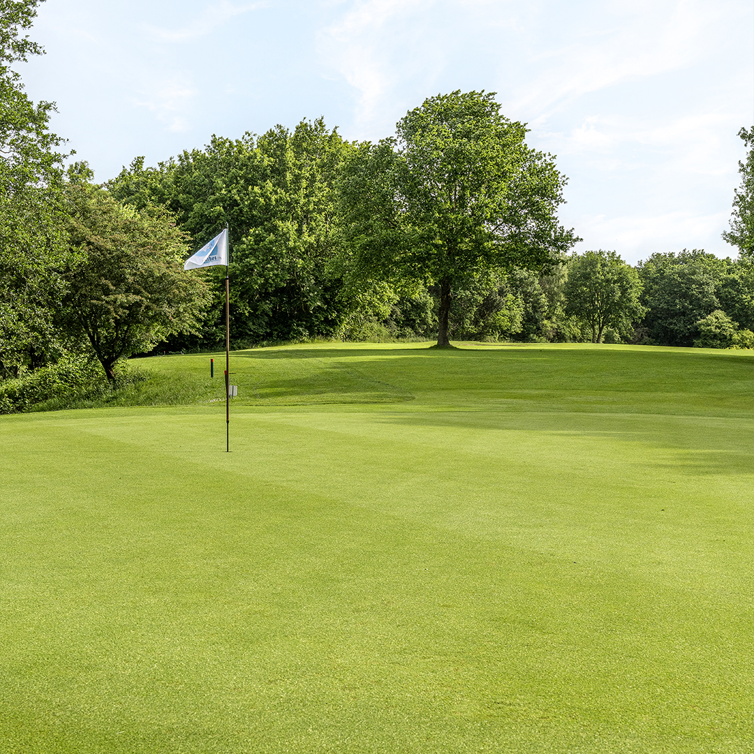 TourTurf® Thatch-Less® FTD Fungi Thatch Degrader 